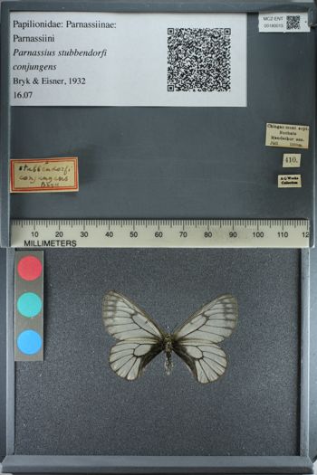 Media type: image;   Entomology 180015